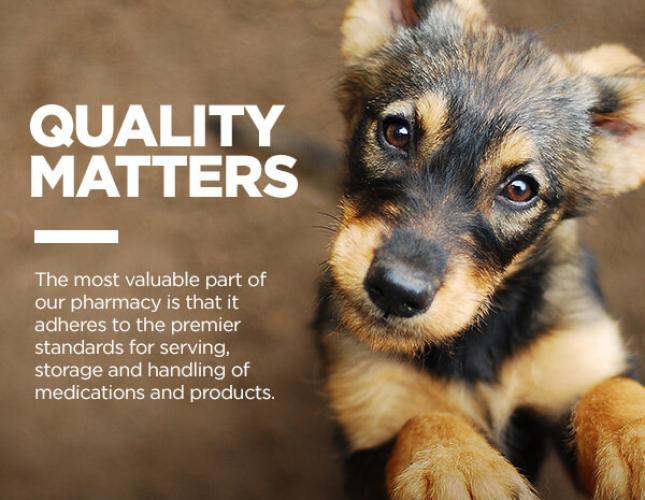 The Dangers Ordering Prescription Medications from Third-Party Suppliers Can Pose to your Pets